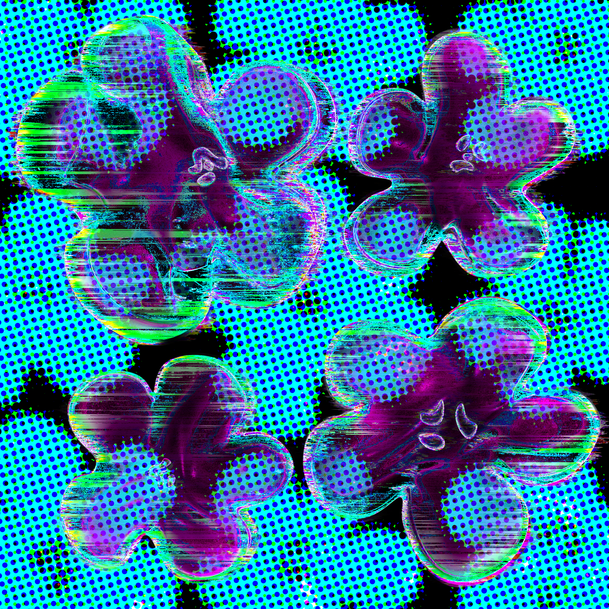 Flowers Flowers Flowers #1436